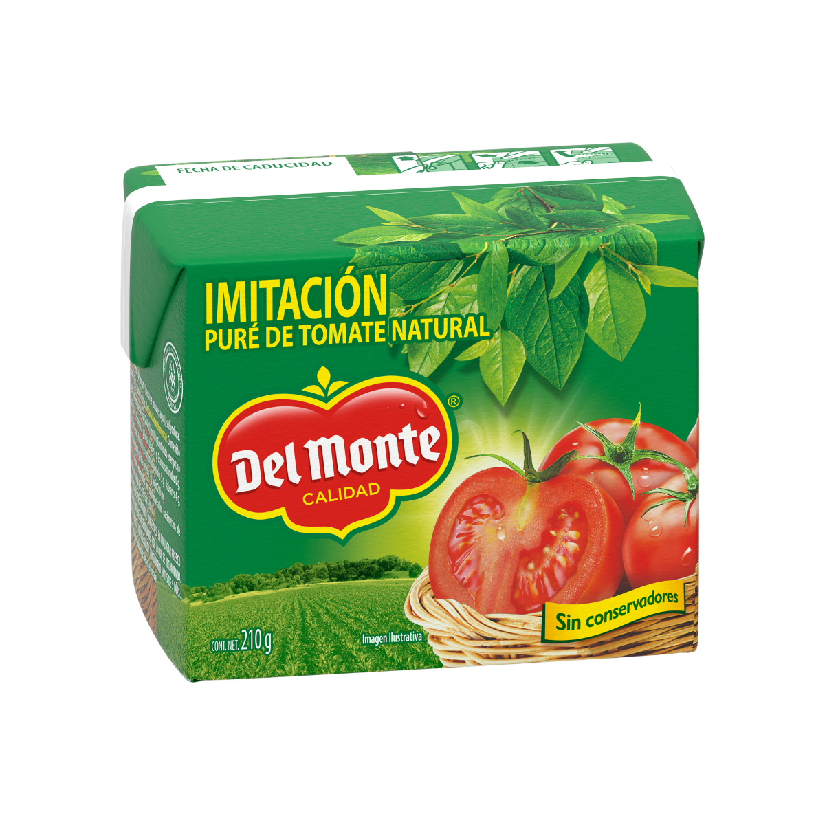 PURÉ DE TOMATE DEL MONTE 210 GR