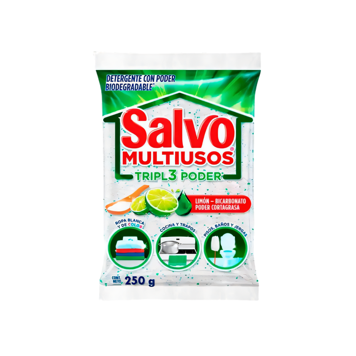 DETERGENTE SALVO MULTIUSOS 250 GR